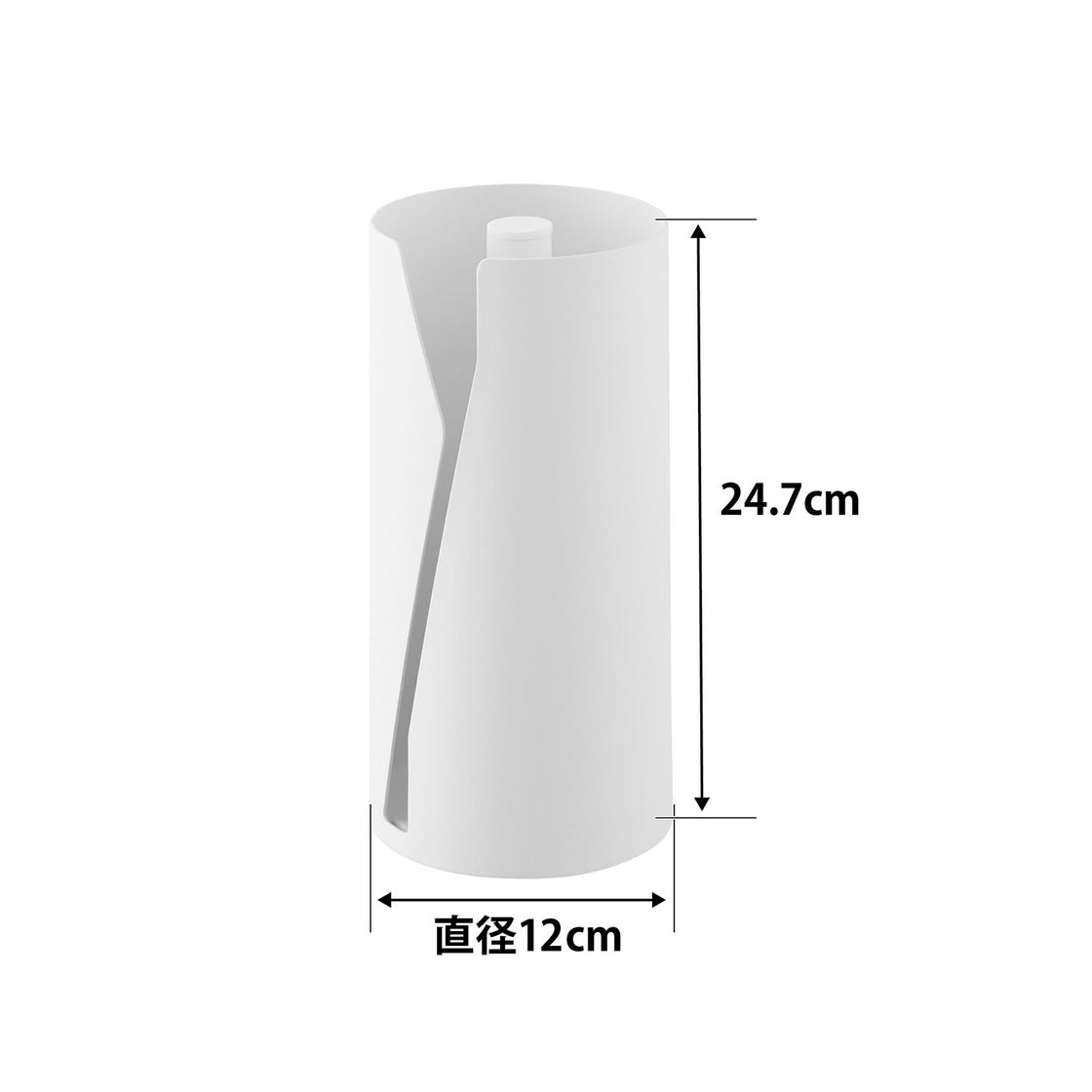 10039_size_image1.jpg