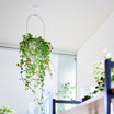 10227_main_image1.jpg