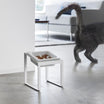 10239_main_image1.jpg