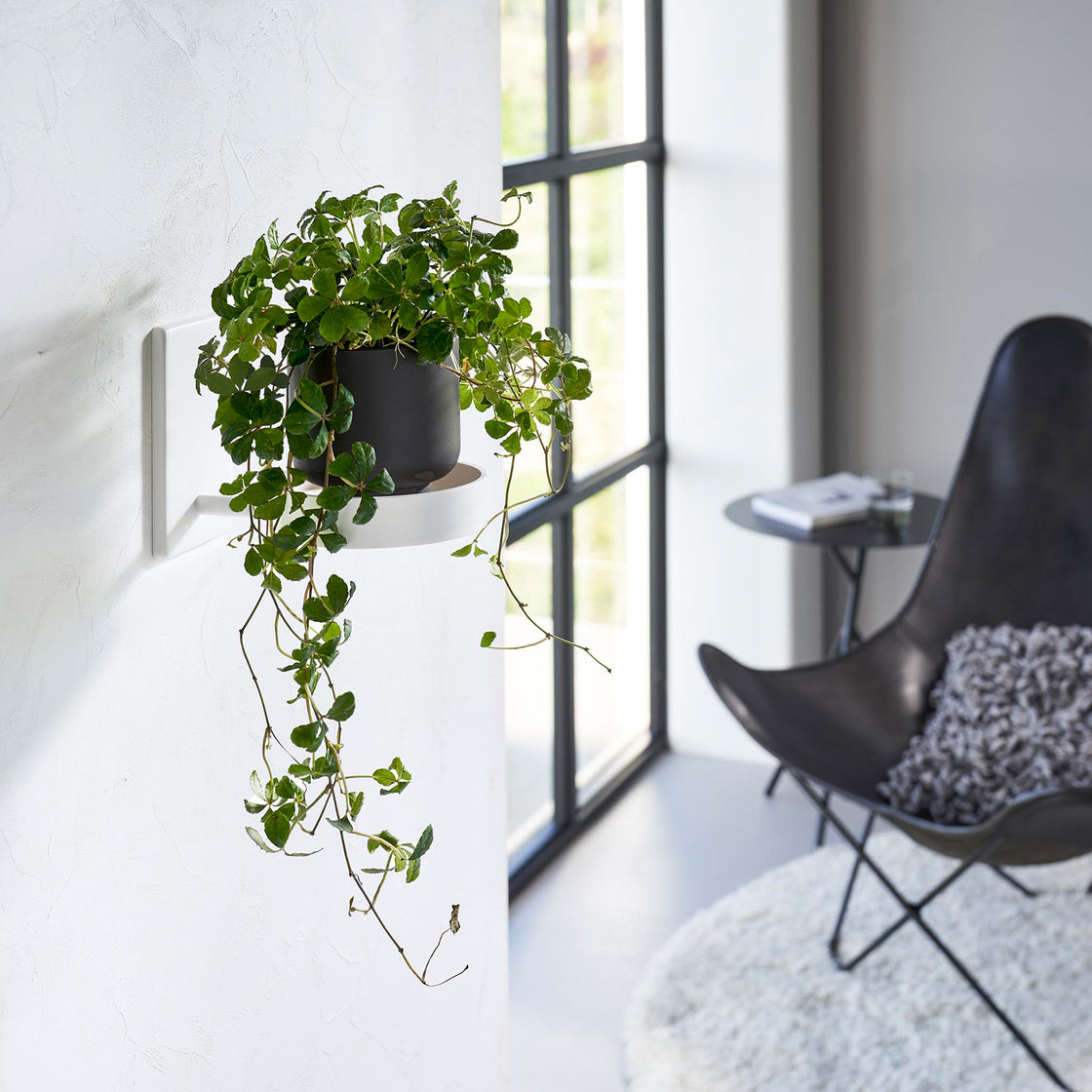 11210_main_image1.jpg