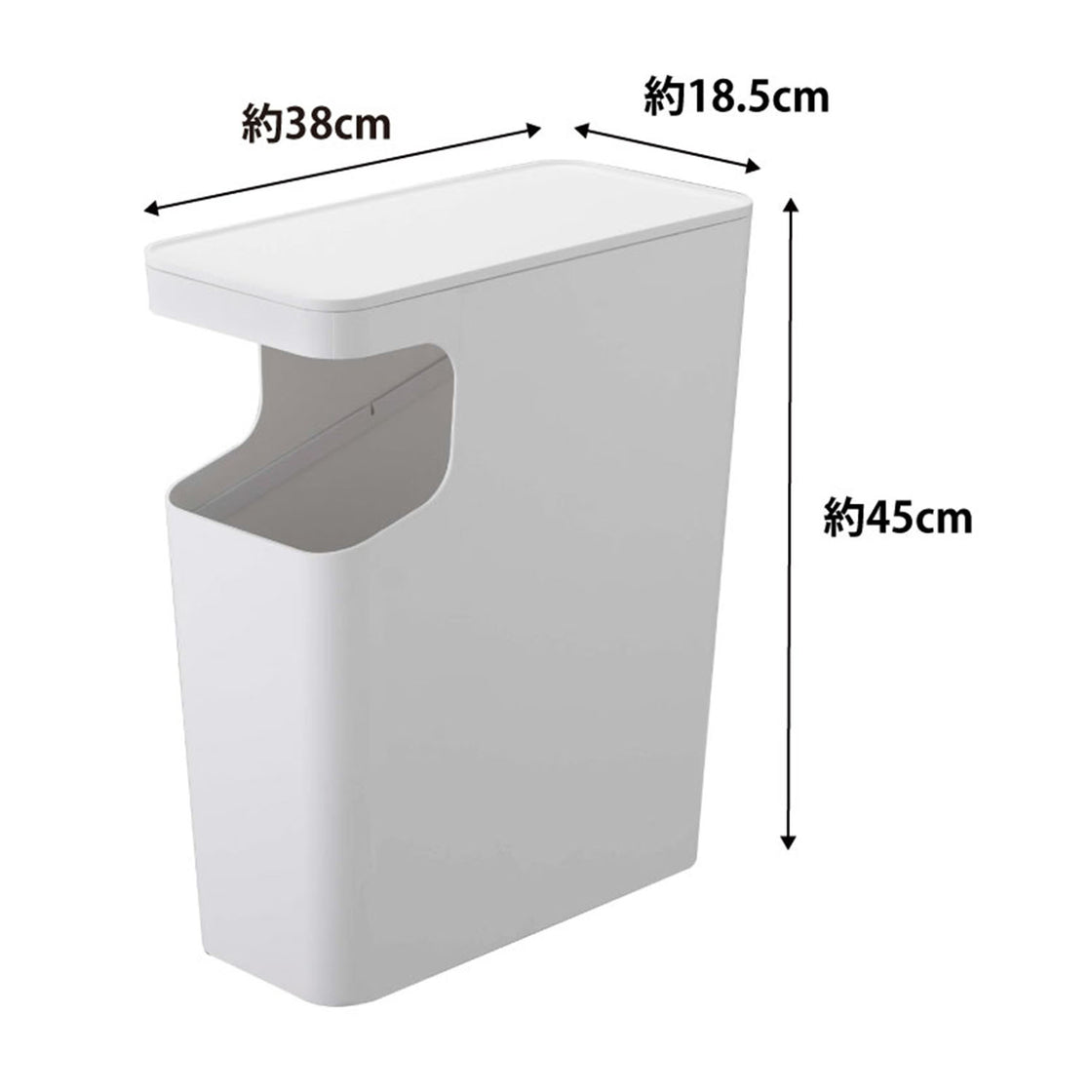 3988_size_image1.jpg